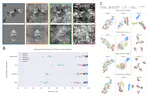 Human visual cortex and deep convolutional neural networks care deeply about object background